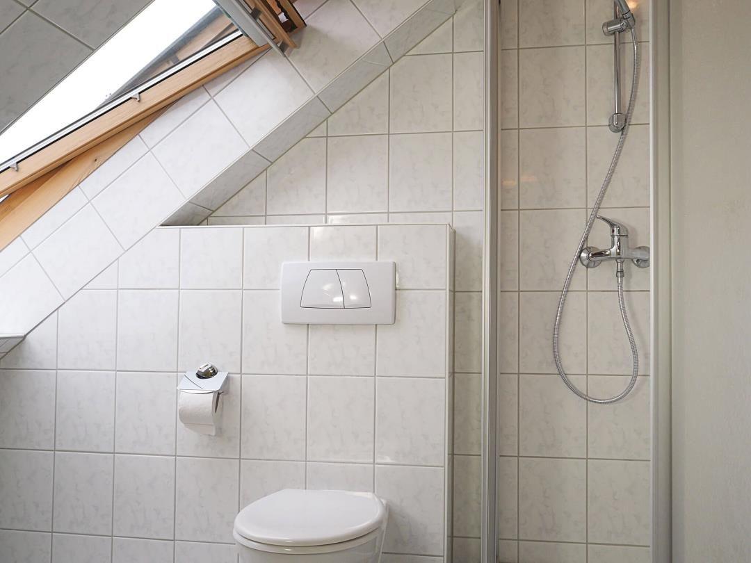 Badezimmer mit Dusche, WC und Dachfenster