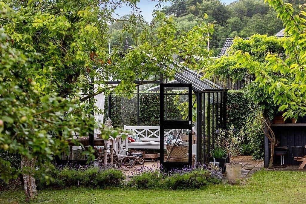 Glasshouse with seating and plants surrounded by trees.