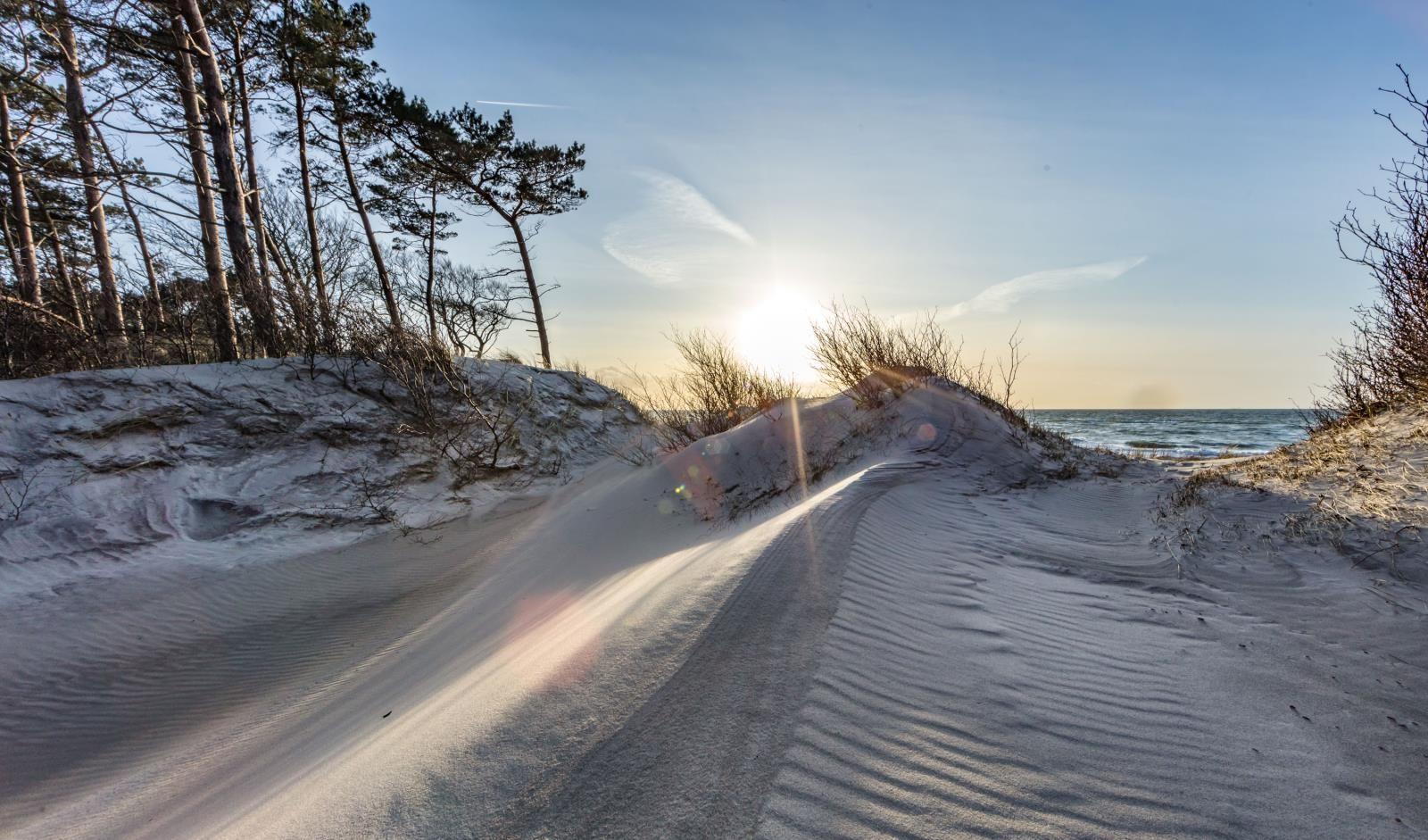 Weg durch Sanddünen zum Meer bei Sonnenuntergang mit Bäumen am Horizont