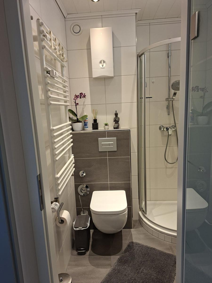 Badezimmer mit Dusche, Toilette und Heizkörper