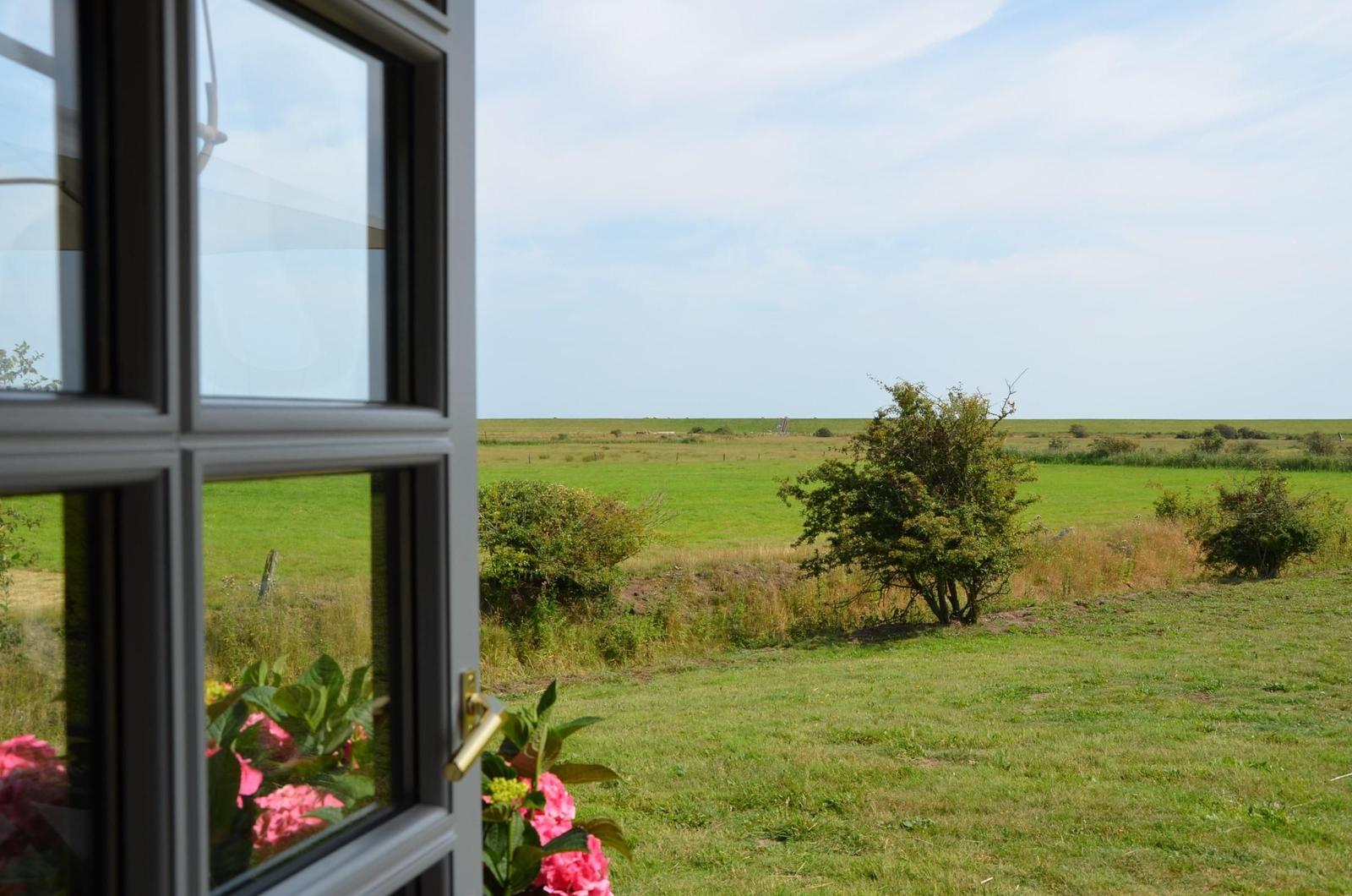 View through the window shows a green meadow with trees and a clear sky.