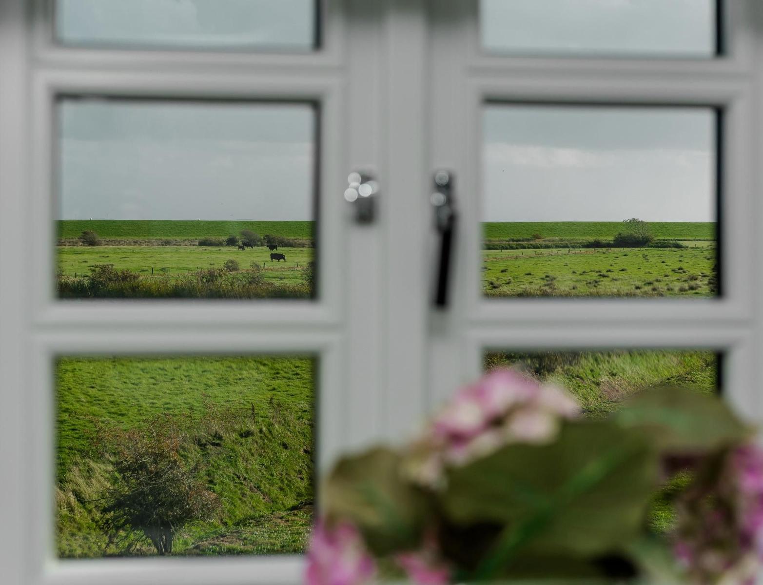 Through the window, green fields with cows are visible.