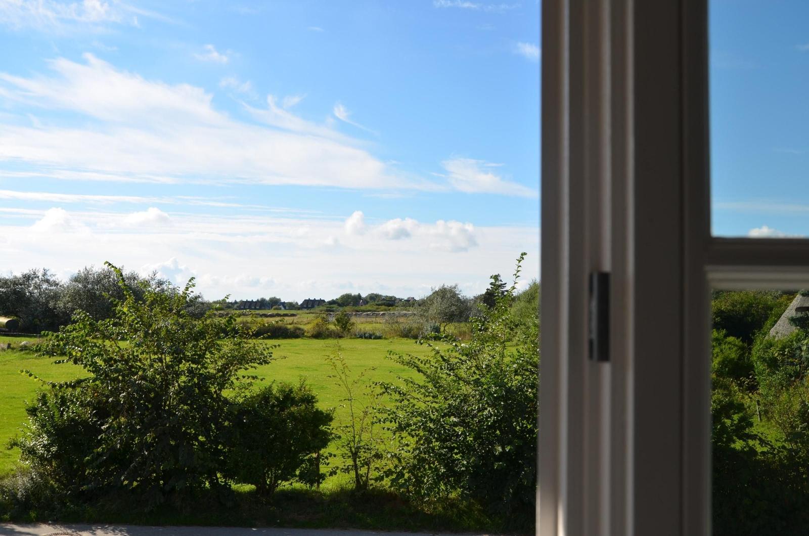 Durch das Fenster blickt man auf eine grüne Wiese und einen blauen Himmel mit weißen Wolken.