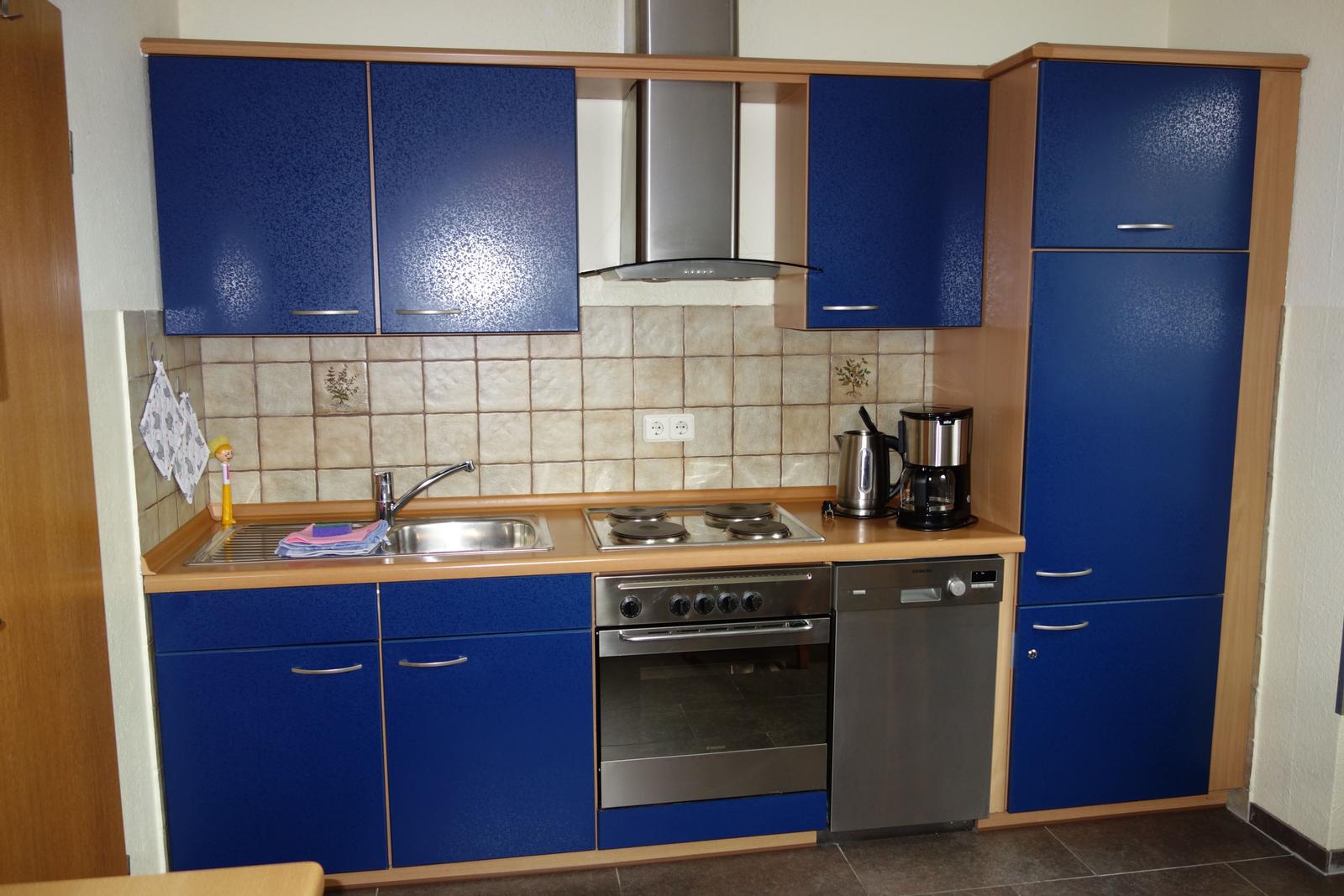 Küchenzeile links mit Backofen, Herd, Abzugshaube, Spülmaschine und Kühlschrank