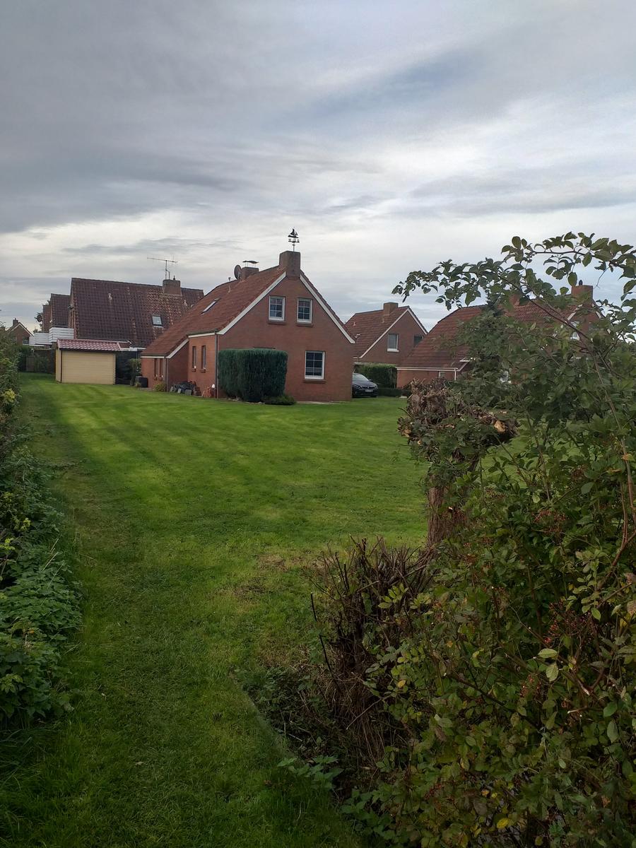 Blick vom Deich auf unser Grundstück