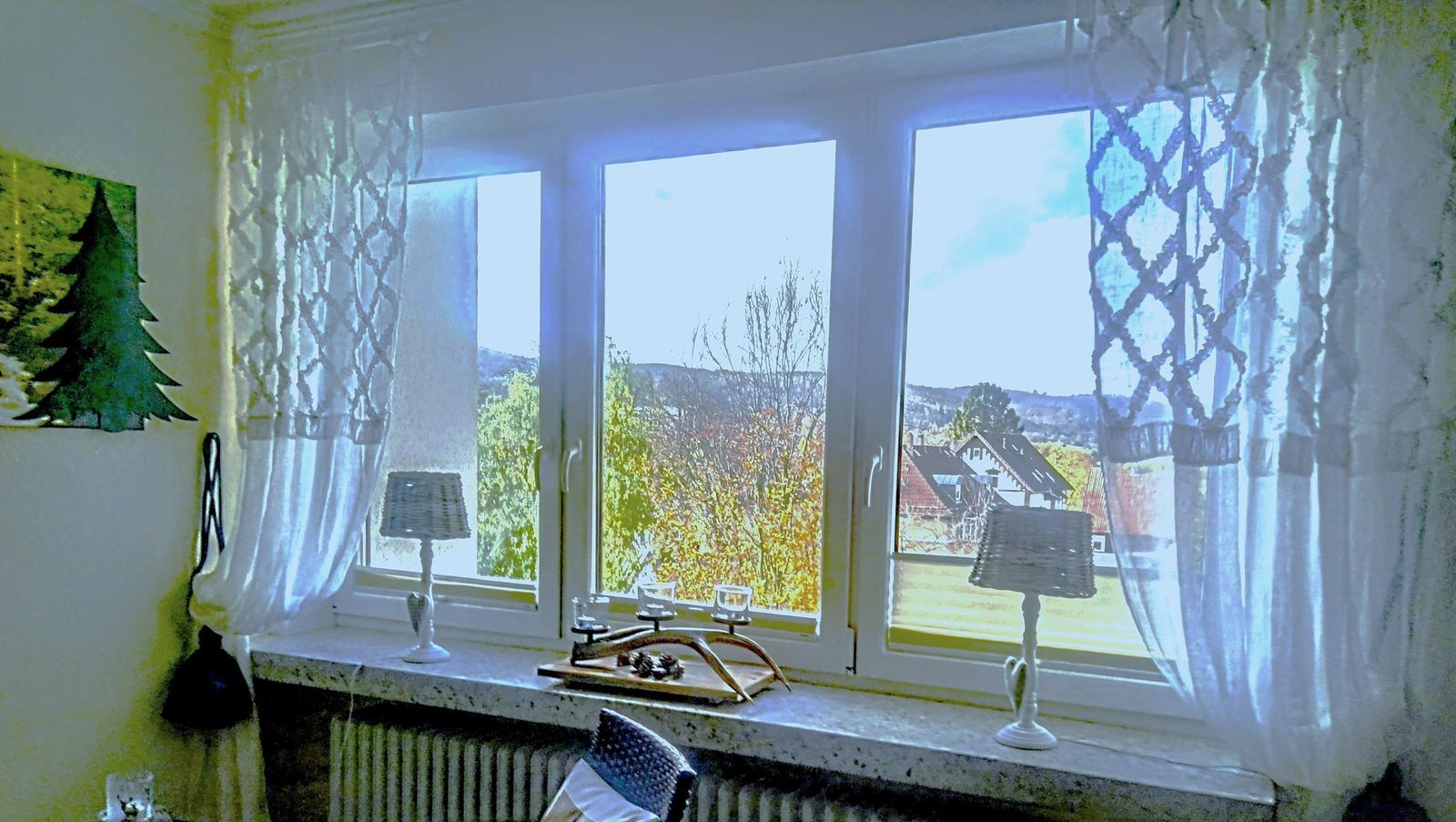 großes Panorama-Fenster