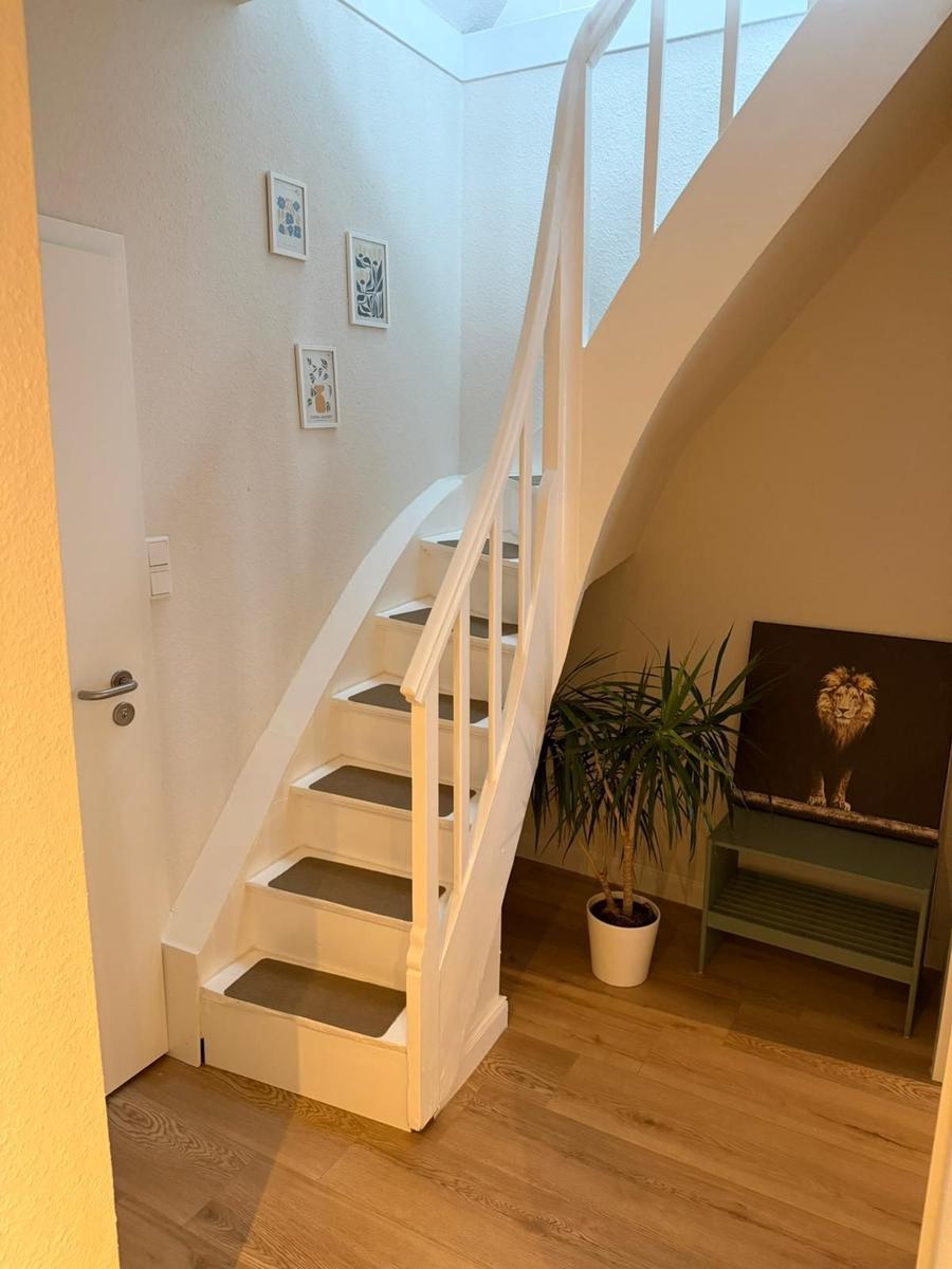 Haus mit weißer Treppe, Pflanze und Wandbild eines Löwen.