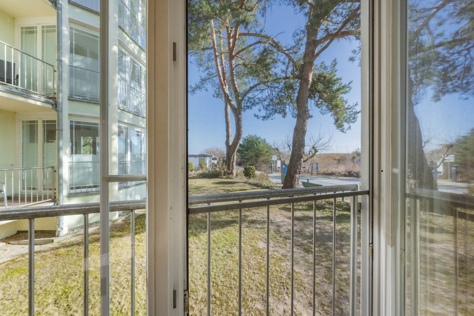 Blick vom Balkon auf Bäume und angrenzende Gebäude.
