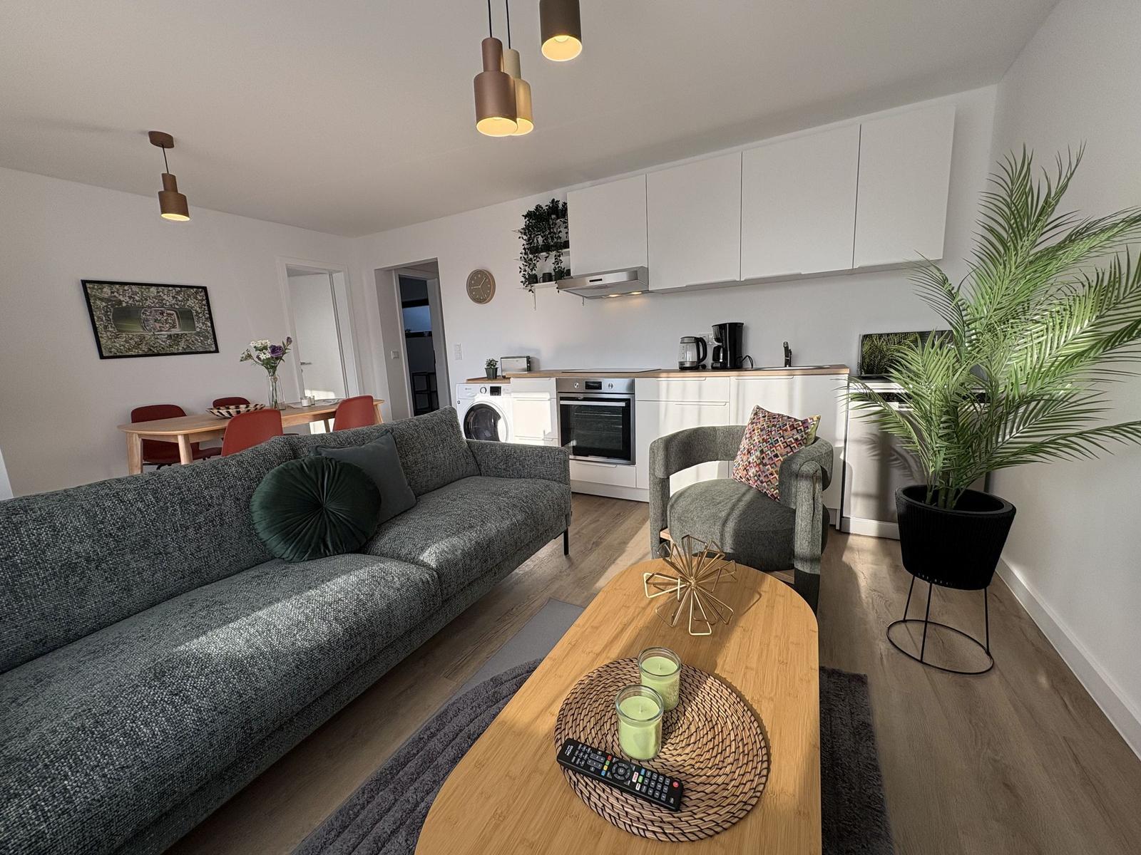 Wohnzimmer mit Sofa, Küchenzeile und Pflanze
