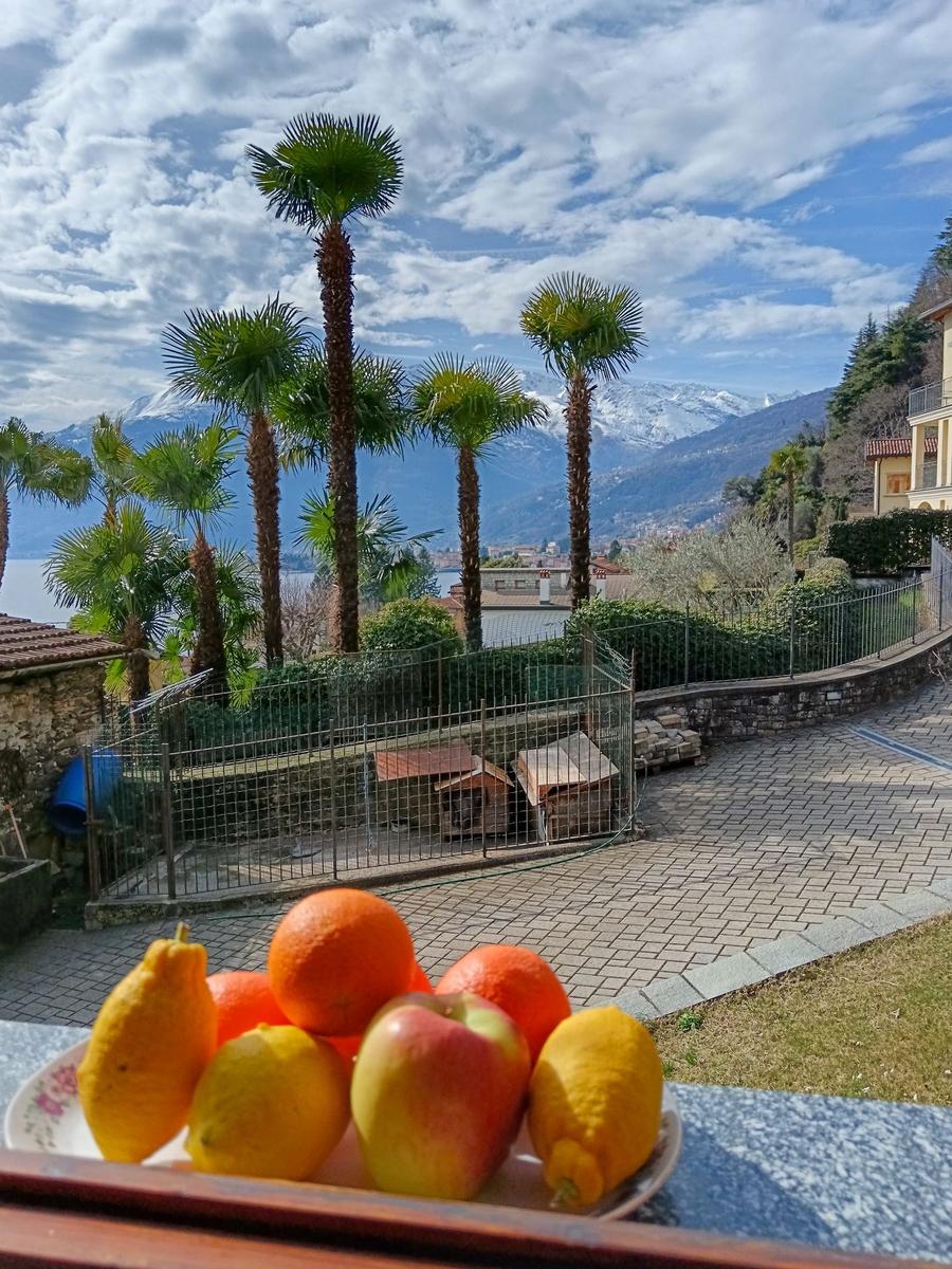 Tisch mit Obst vor Palmen und Bergblick