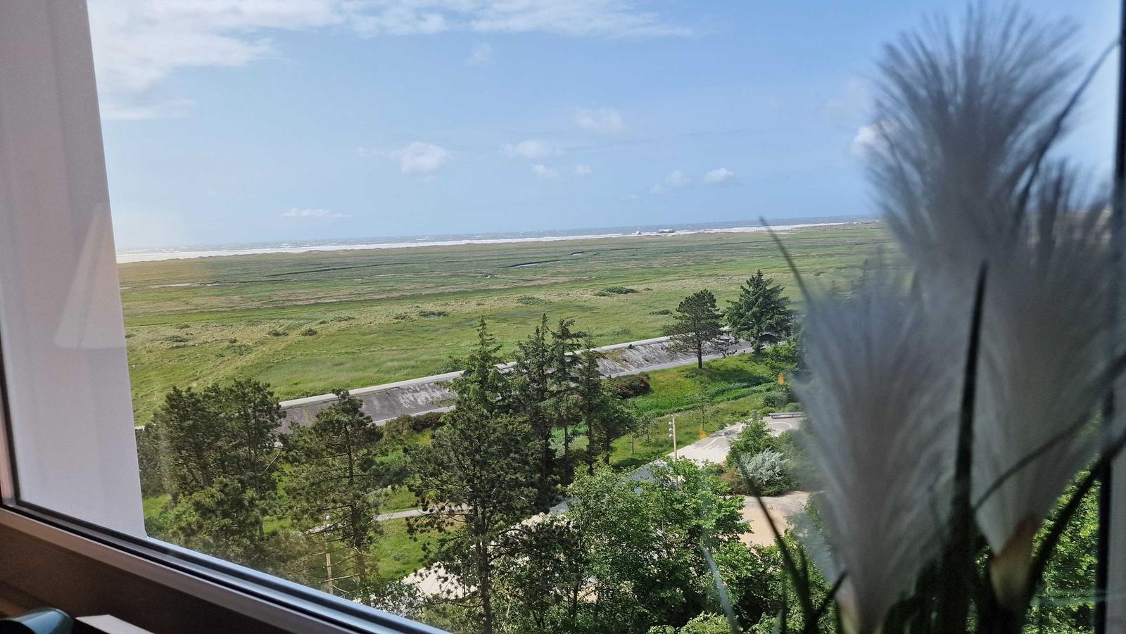 Blick aus dem Fenster direkt auf die Küste...