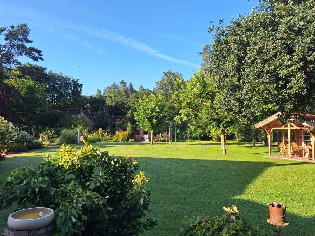 Large green garden with pavilion, swing, and trees under blue sky.