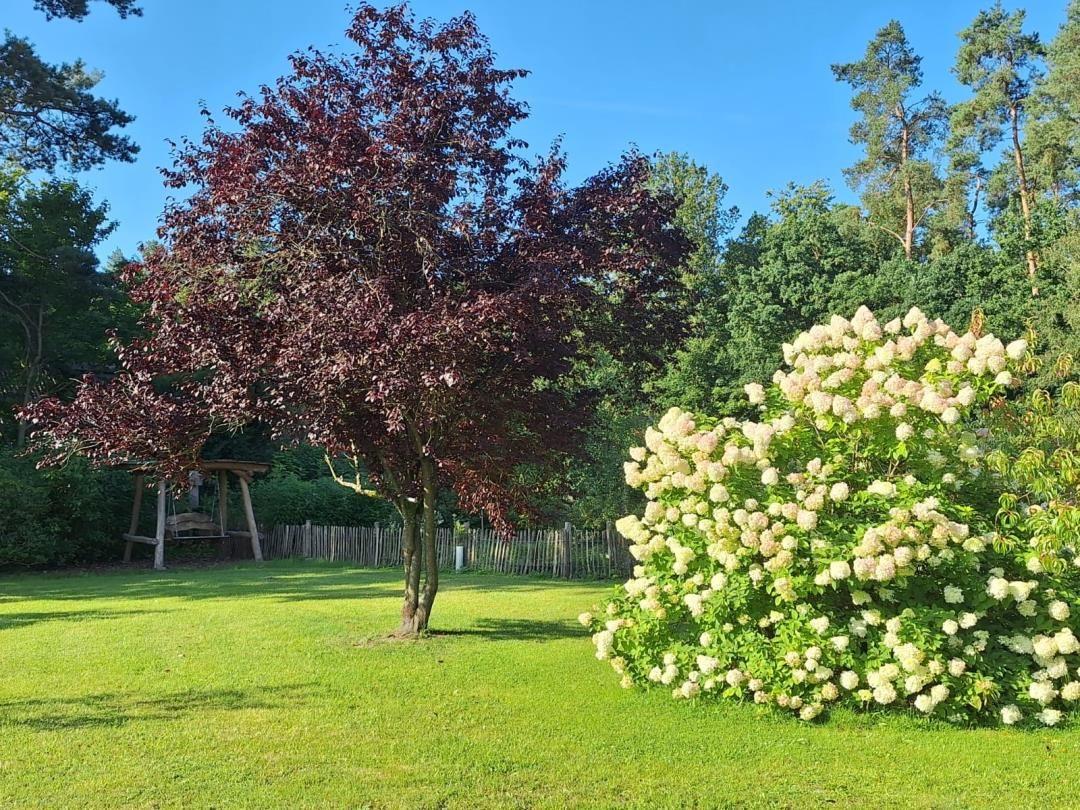 Garden with tree, flower bush, and swing under open sky.
