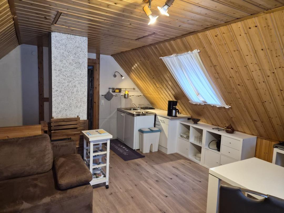 Living area with kitchenette and sloped ceiling. Wooden walls and ceiling.
