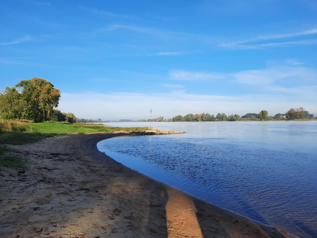 Riverbank with sandy shore and green vegetation under blue sky.