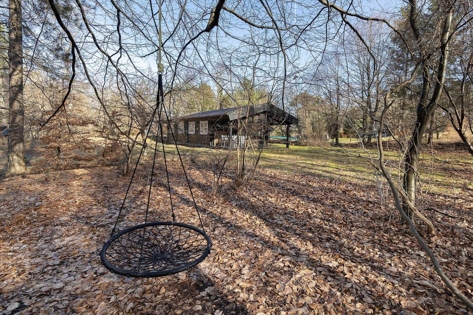 Swing under trees, background a wooden house with terrace.