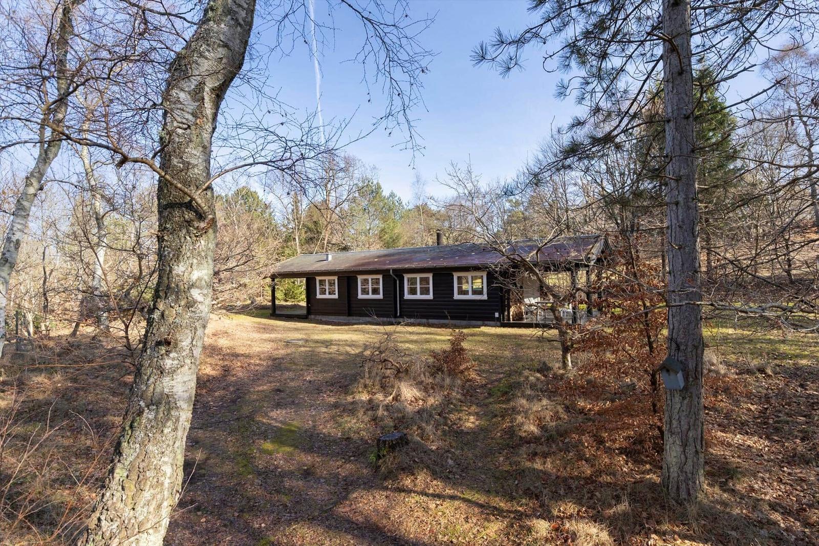 A dark wooden house with white windows stands in the middle of a forest.