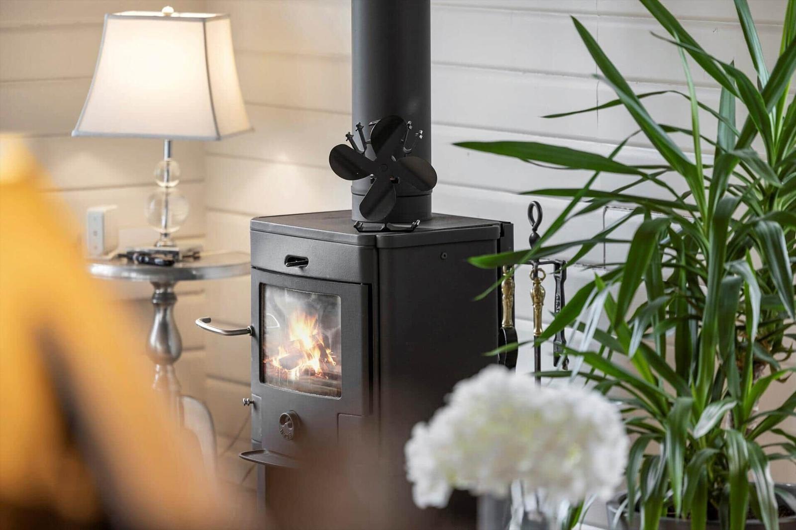 Kaminofen mit brennendem Feuer, Pflanze und Lampe im Raum.