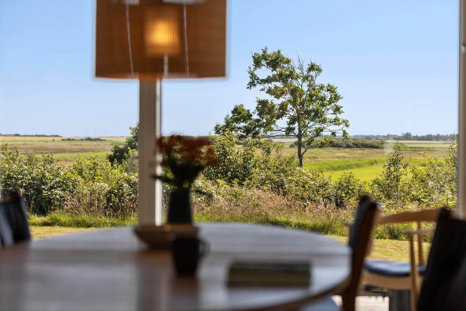Tisch mit Stühlen und Blick auf grünes Feld und einen Baum.