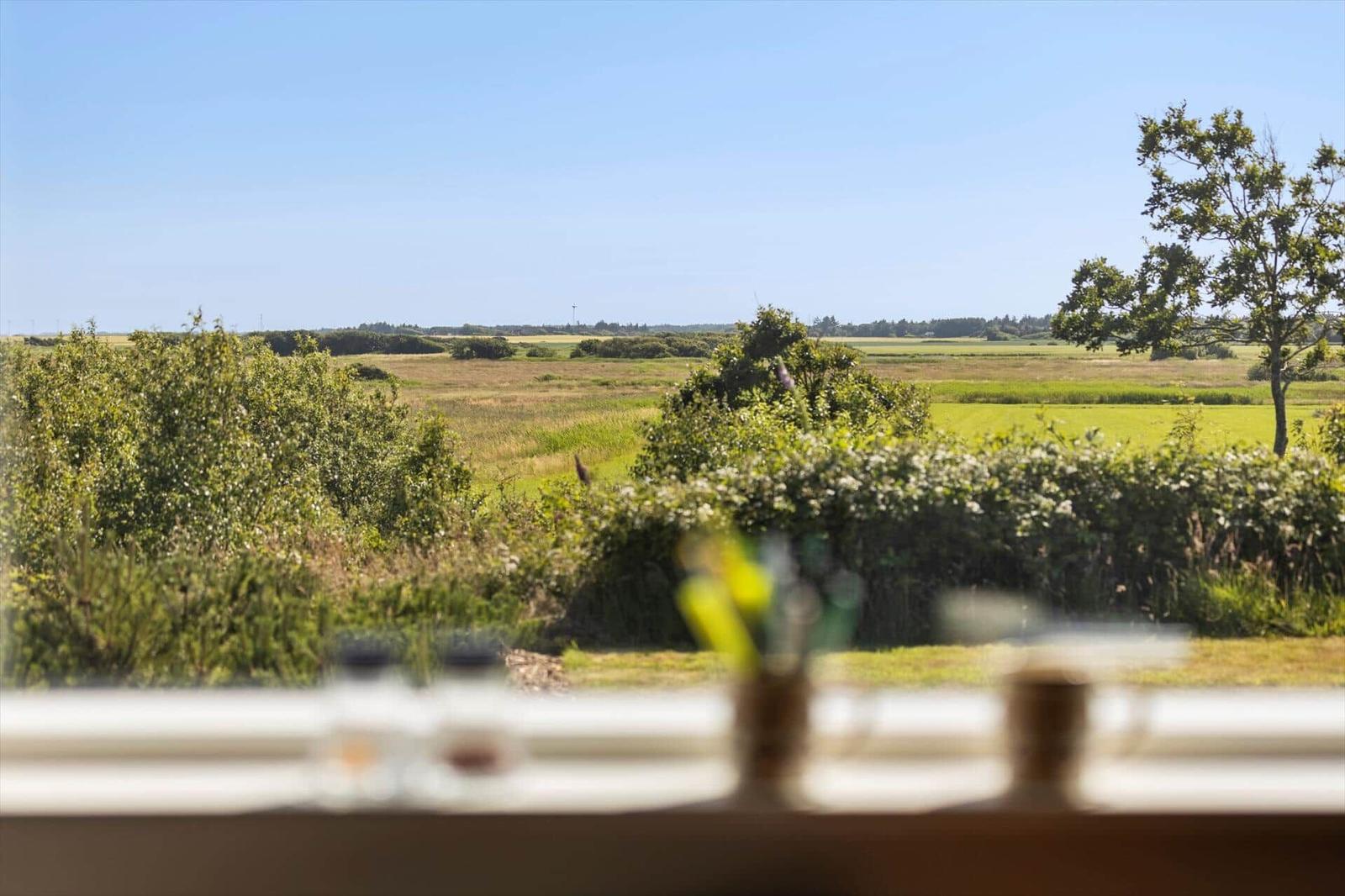 Weitläufige Landschaft mit Grünflächen und Bäumen vom Fenster aus gesehen.