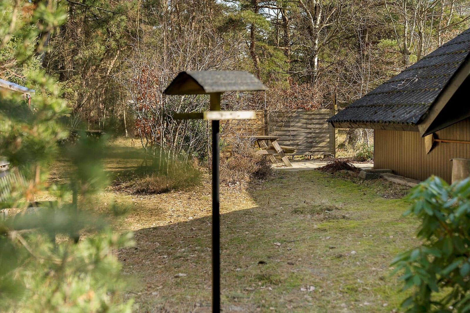 Hinterhof mit Holzhaus, Picknicktisch und Gartenweg zwischen Bäumen.
