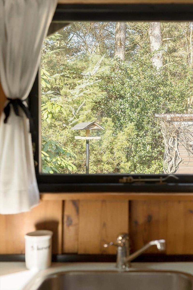 Küchenfenster mit Blick auf grüne Bäume und einen Vogelhäuschen