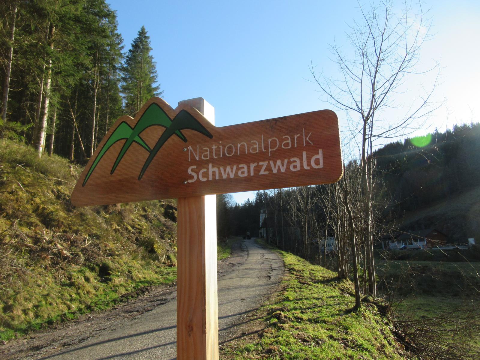 Schild weist auf Nationalpark Schwarzwald hin. Waldweg mit Bäumen und Gras.