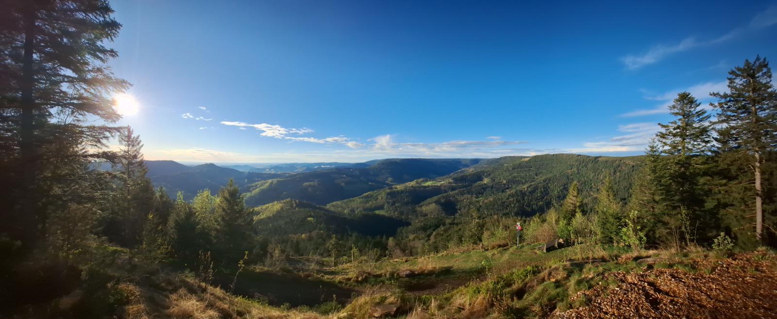 Warum in die Ferne schweifen, wenn der Schwarzwald doch so nah?!