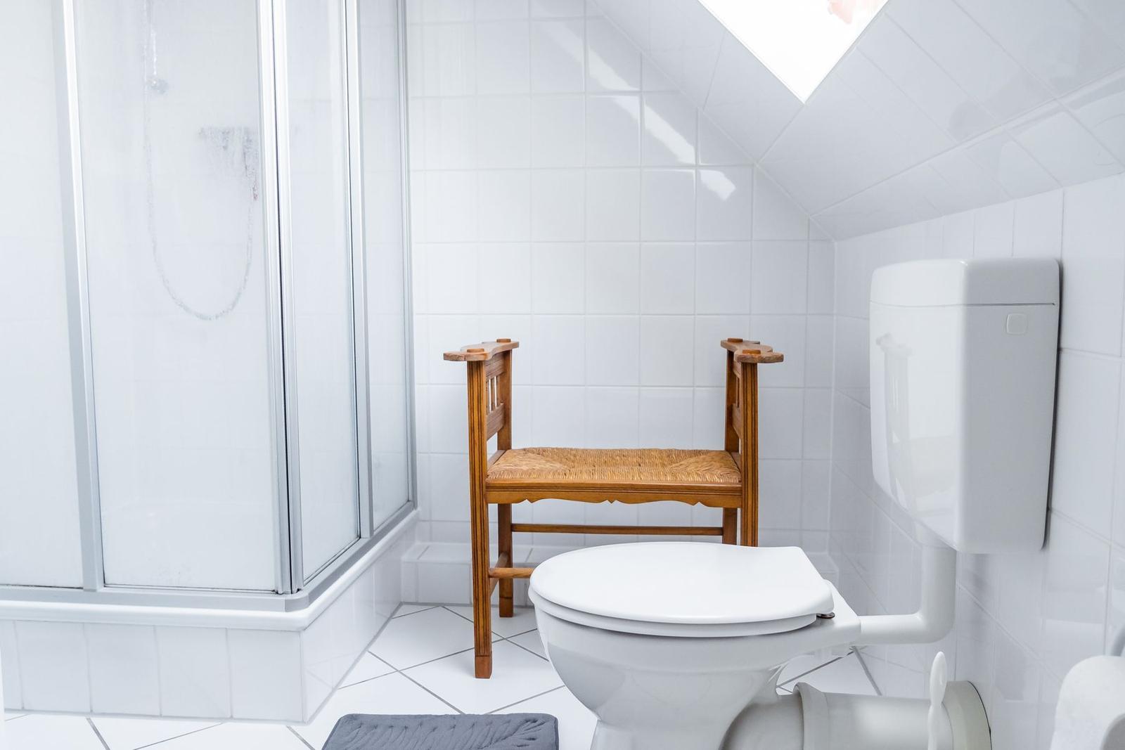 Badezimmer mit Toilette, Dusche und Holzstuhl.