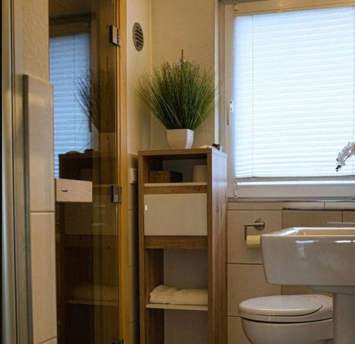 Badezimmer mit Dusche, Waschbecken und Pflanze.