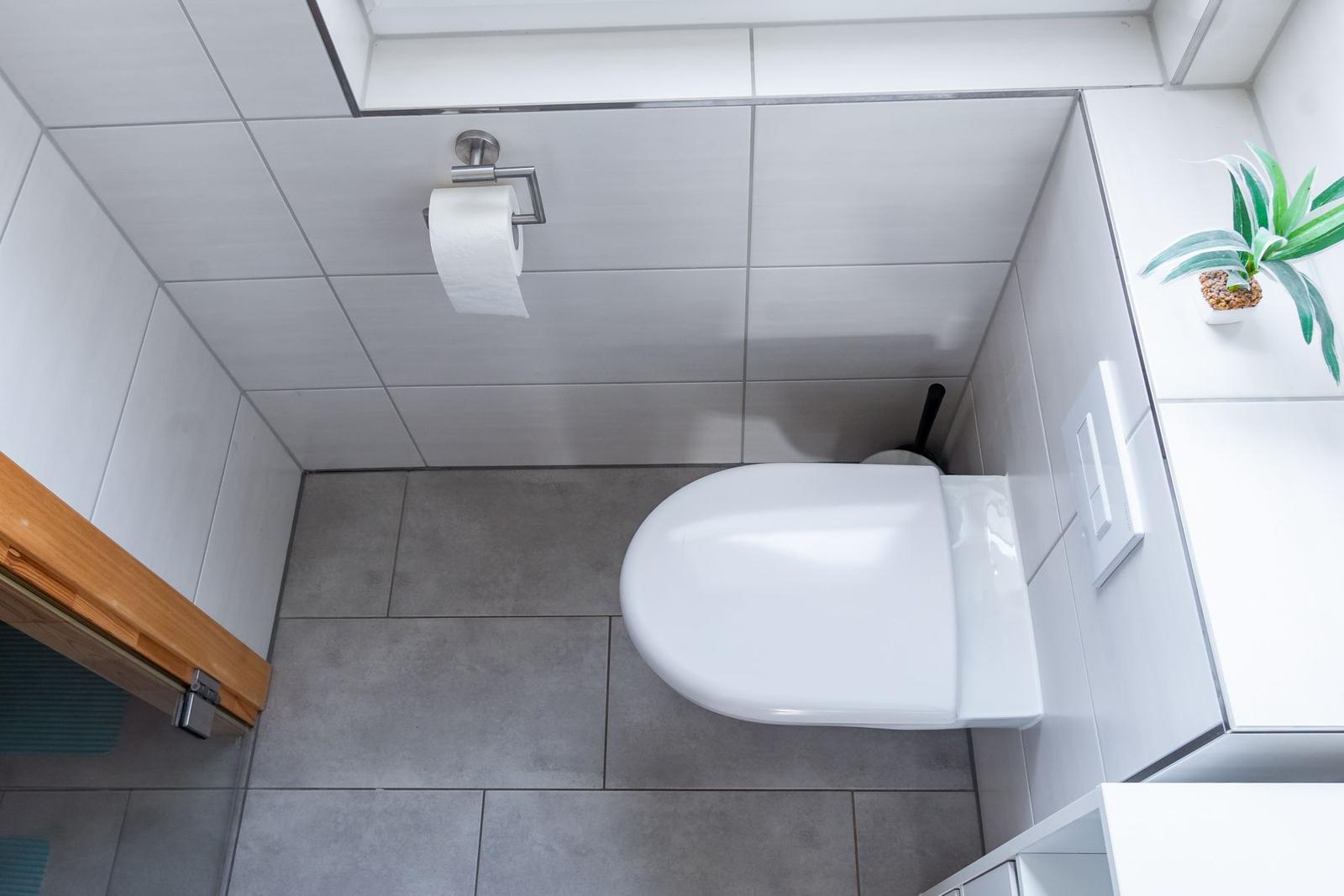 WC mit Toilettenpapierhalter, Pflanze und grauem Bodenbelag.