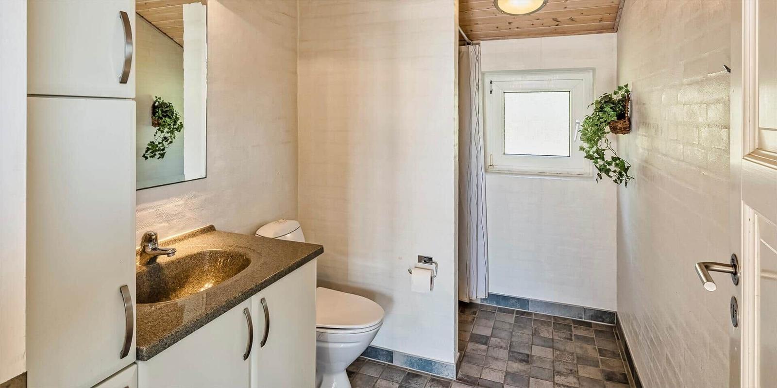 Bathroom with sink, toilet, and shower. Wall with plant and window.