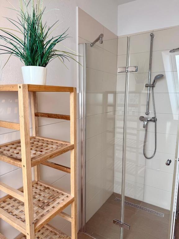 Dusche mit Glaswand und Holzregal mit Pflanze