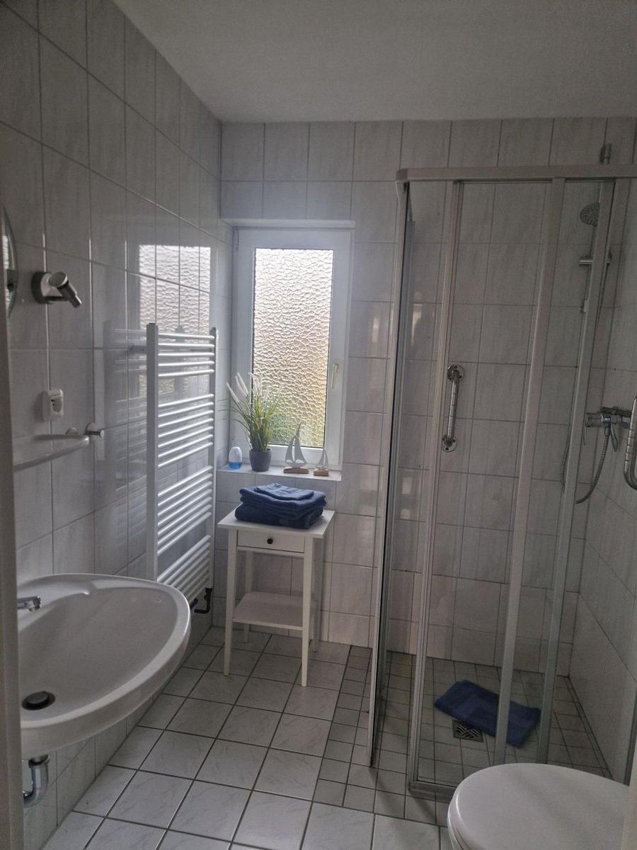 Badezimmer mit Dusche, Waschbecken und Toilette. Fenster mit Pflanze und Handtuch.