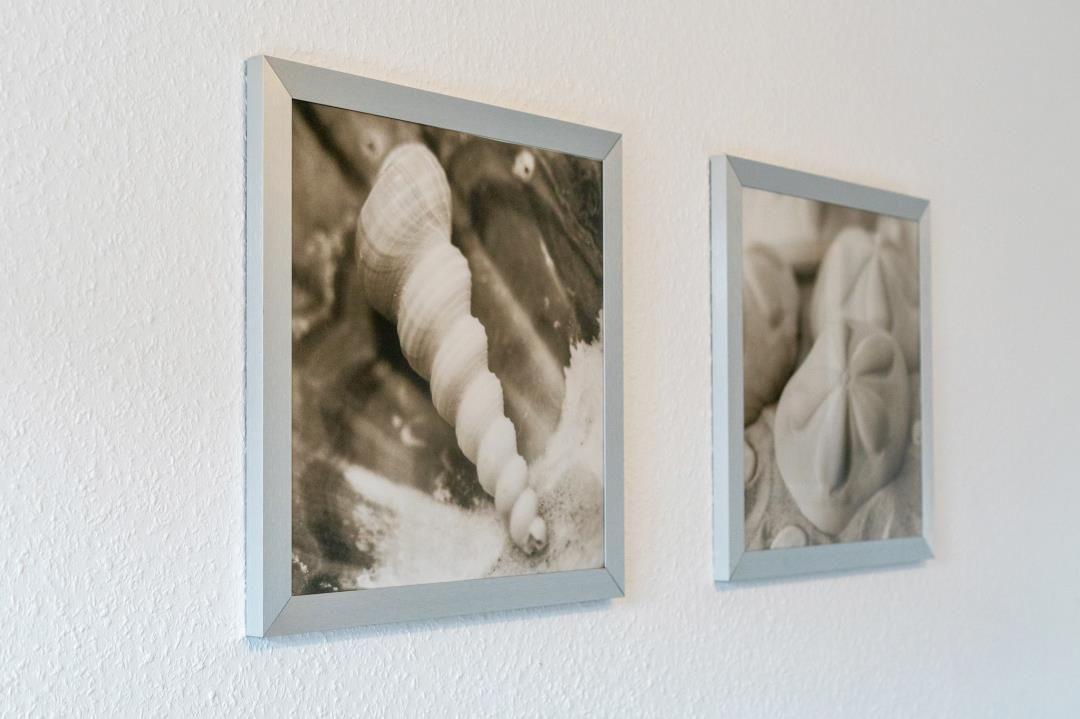 Zwei gerahmte Fotos mit Muscheln an der Wand