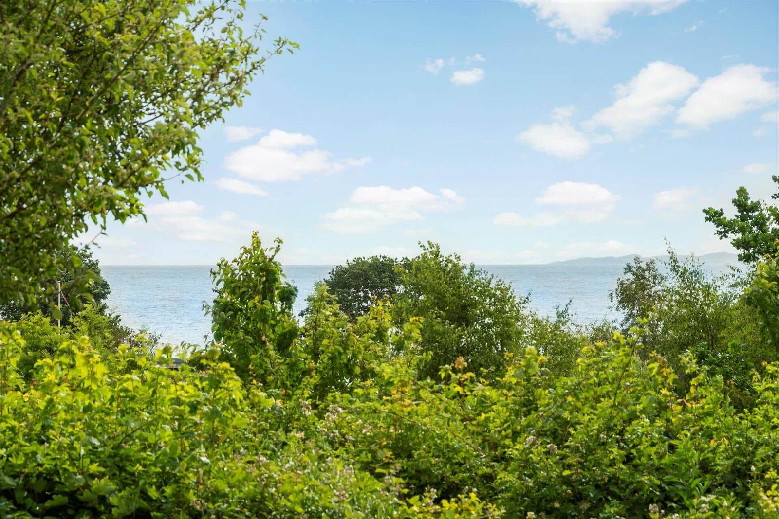 Blick auf das Meer durch grüne Bäume und Sträucher unter blauem Himmel mit weißen Wolken.