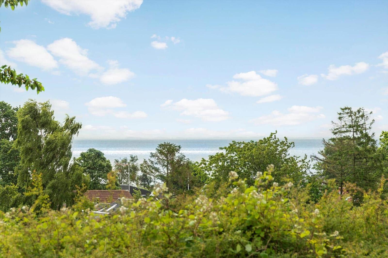 Blick auf das Meer hinter Bäumen und Sträuchern unter blauem Himmel mit weißen Wolken.