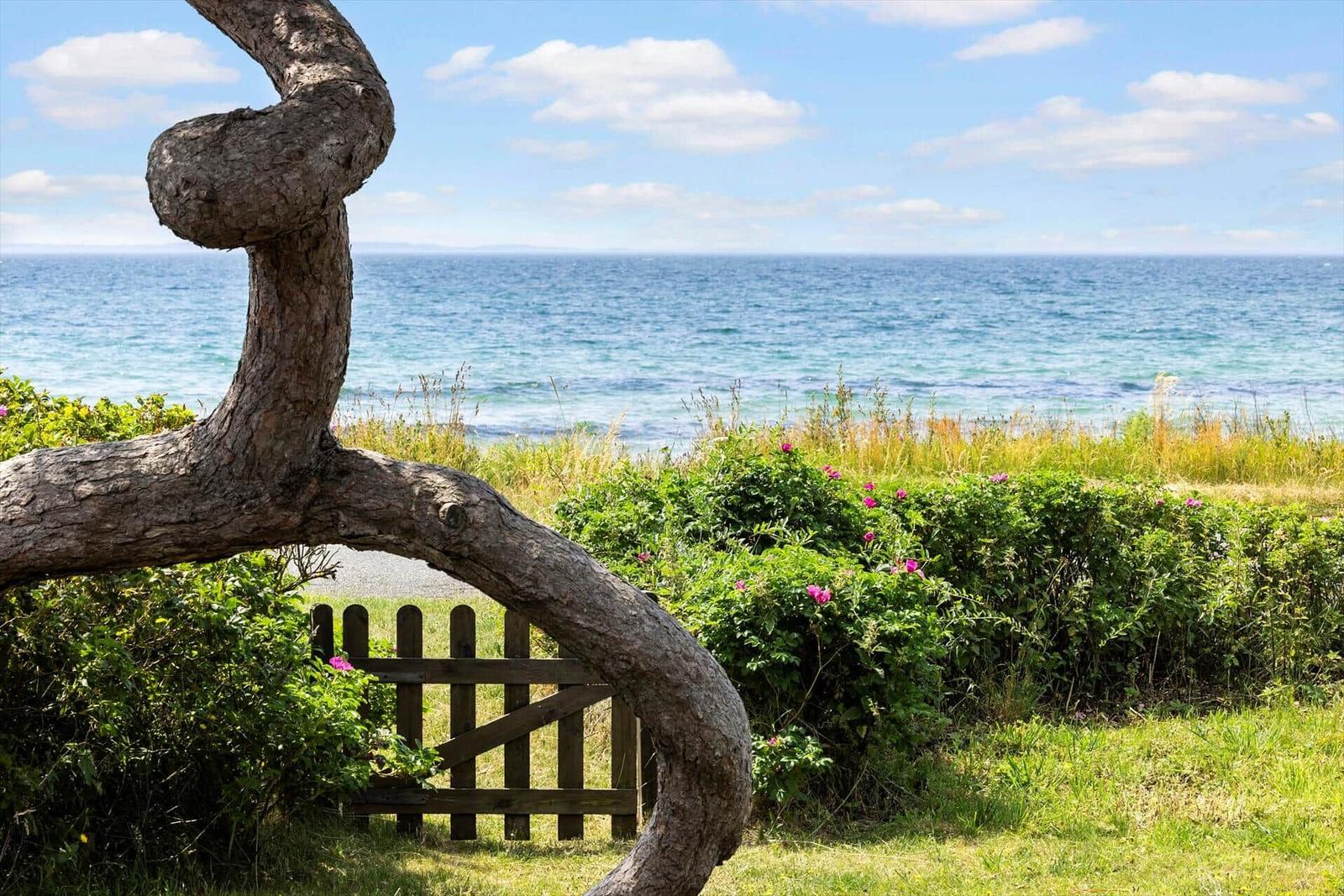 Ein geschwungenes Holzstück rahmt einen Zaun und den Blick auf das Meer ein.