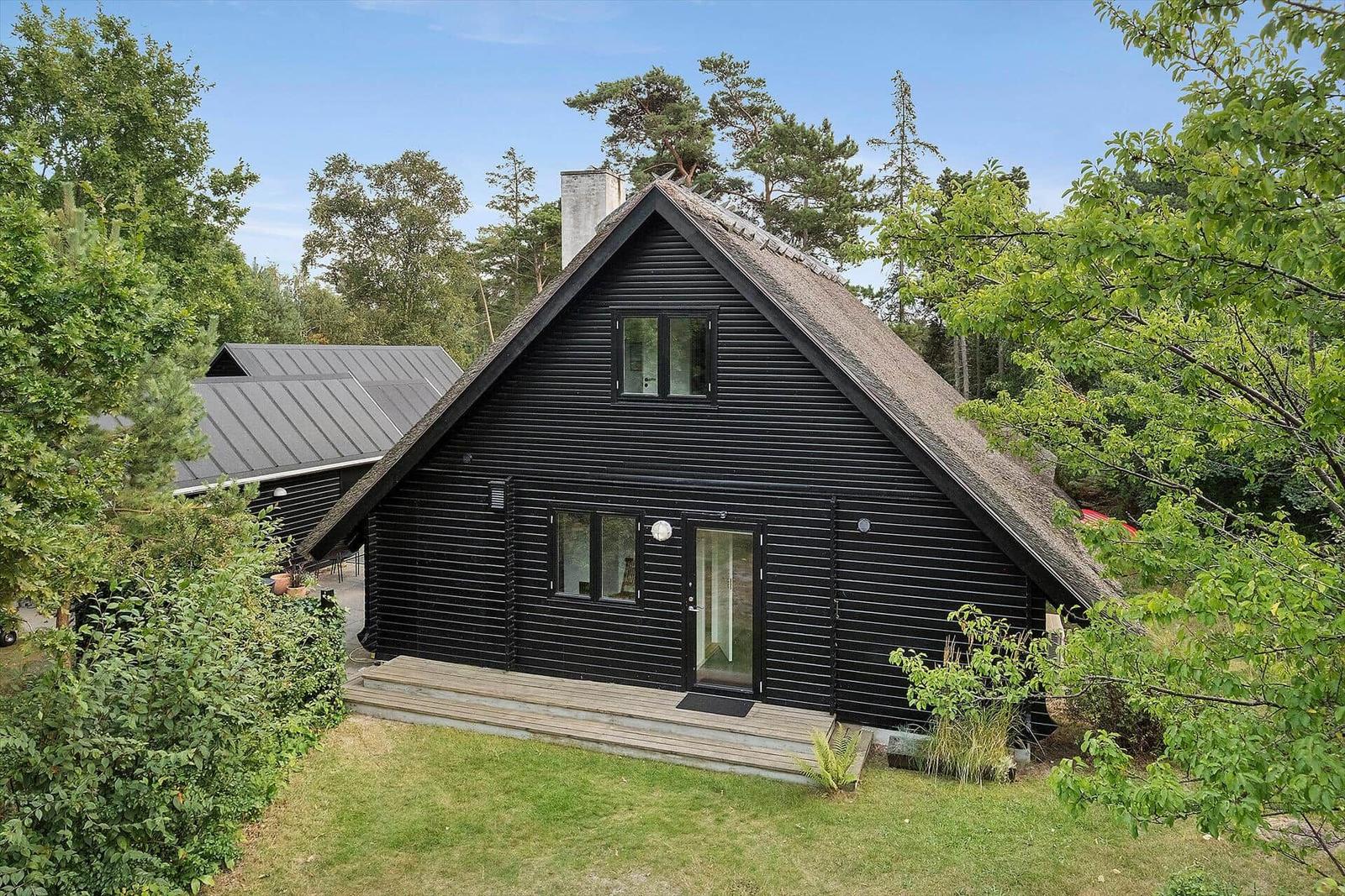 Schwarzes Holzhaus mit Dachterrasse und Garten. Umgeben von Bäumen und Grün.