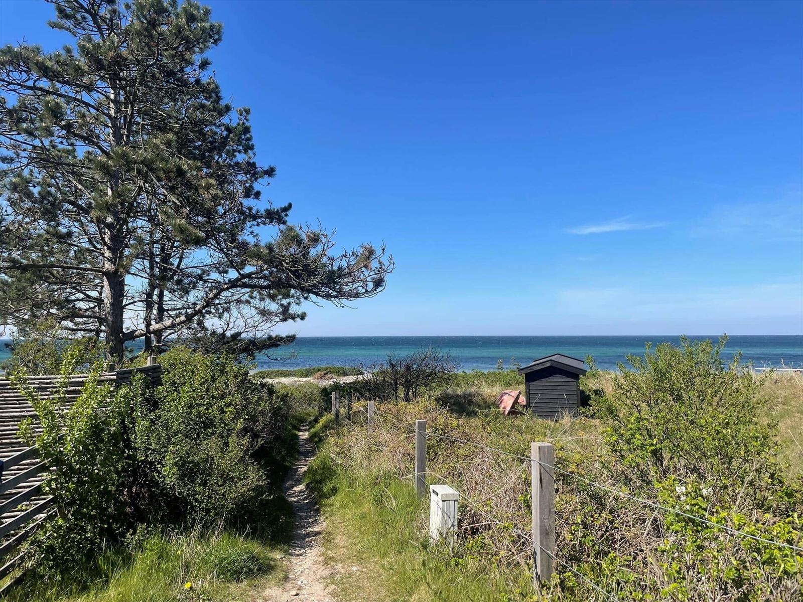 Weg führt durch Grünland zum Strand und See. Holzhaus und Baum sind sichtbar.