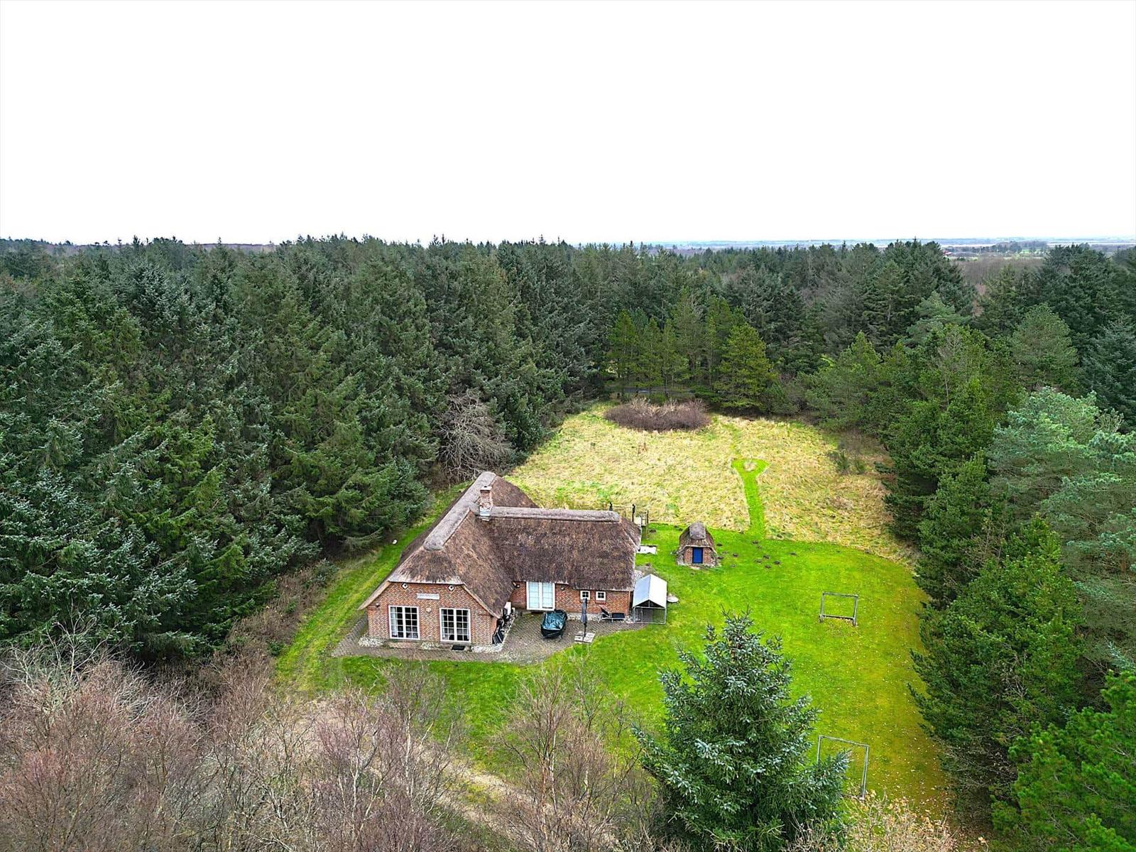 Haus mit Strohdach und Garten in Waldlandschaft
