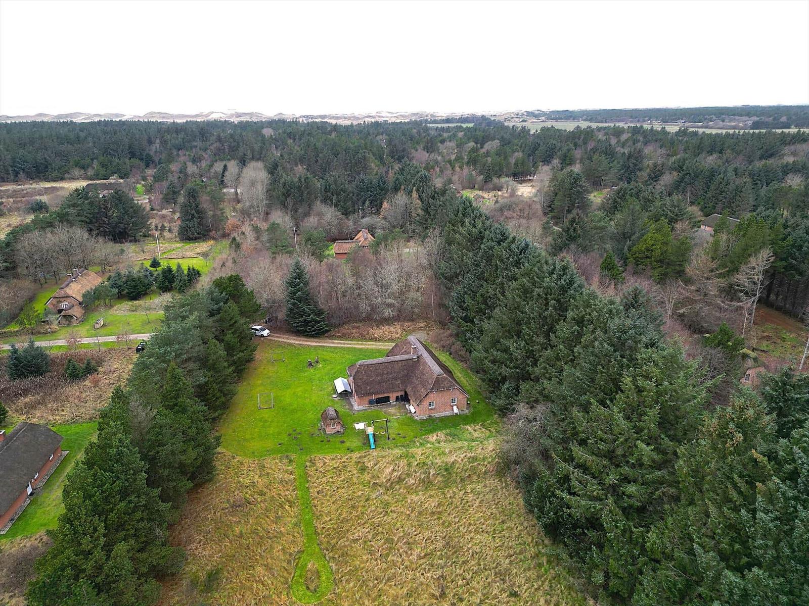 Haus mit Garten und Wald, Luftaufnahme
