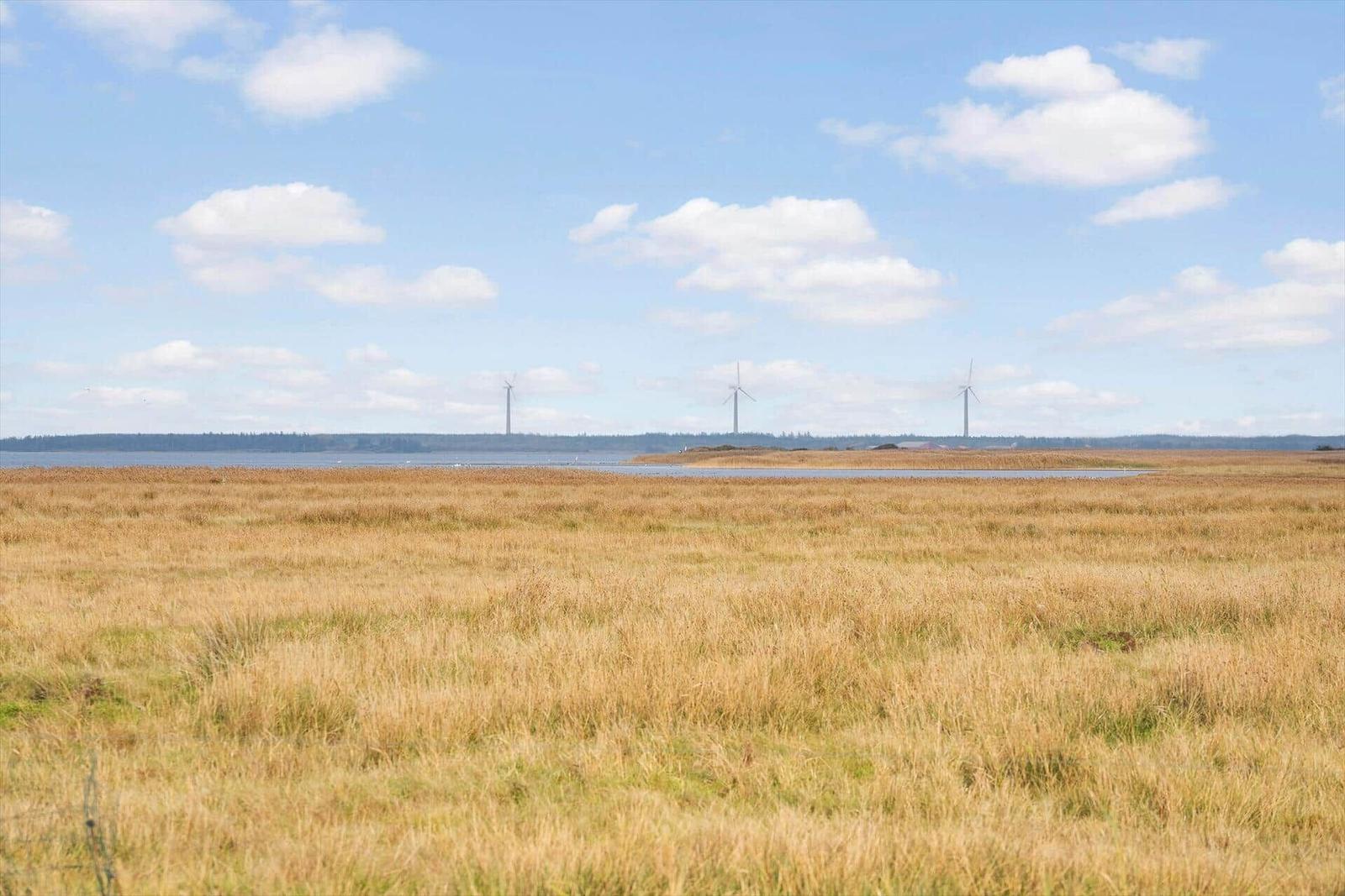 Weitläufiges Feld mit Windrädern am Horizont und blauem Himmel mit Wolken.