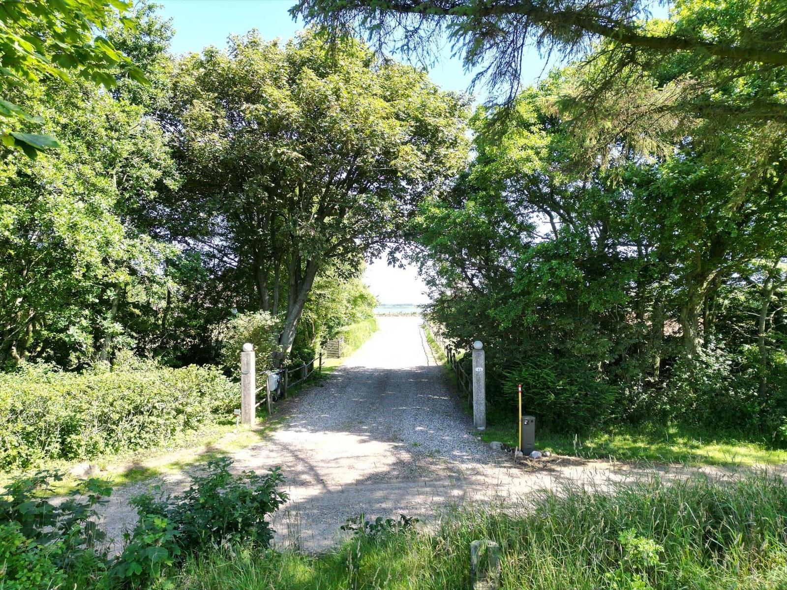 Eingangsweg durch Bäume zum Strand