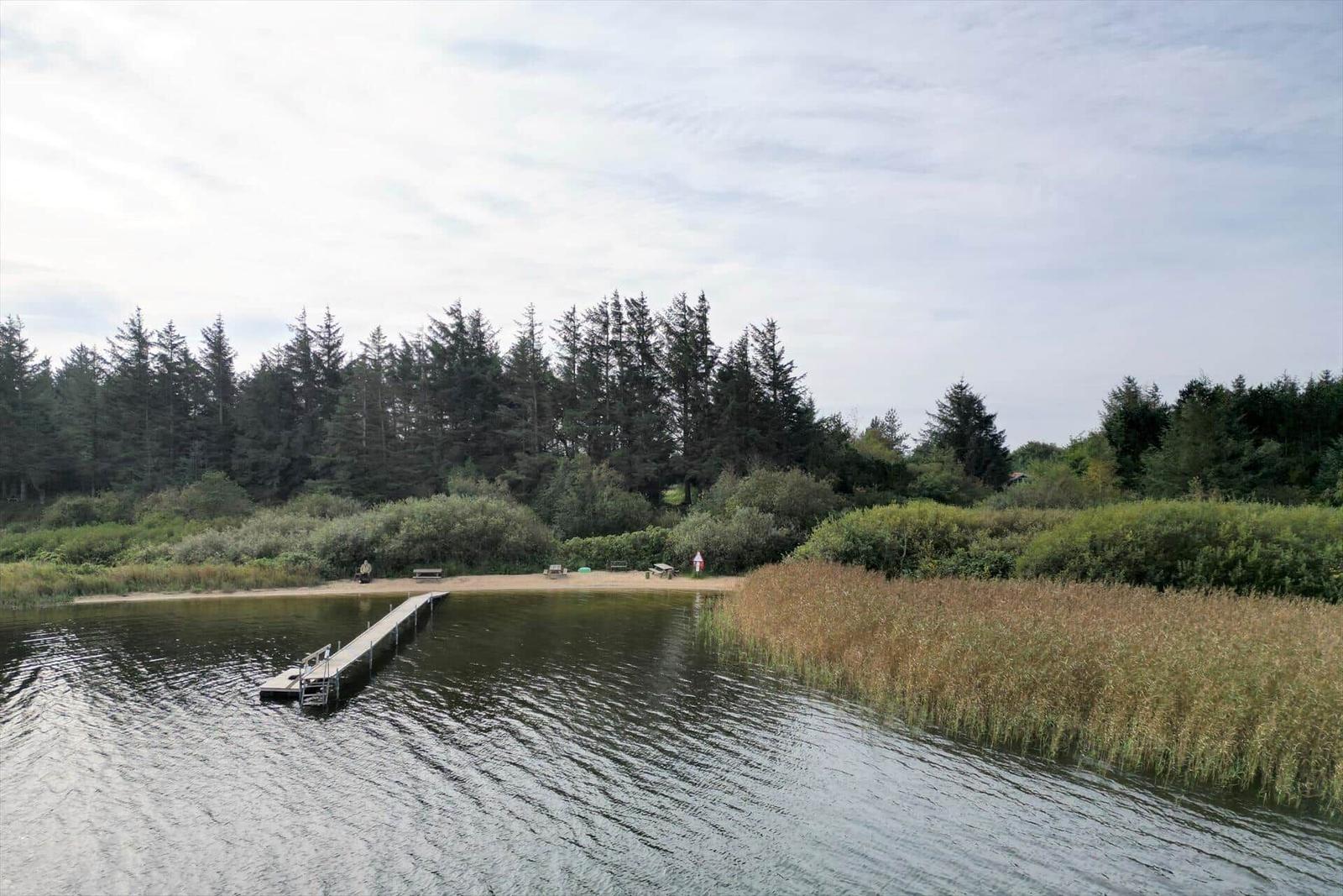 Seeufer mit Steg, Strand und Wald im Hintergrund.