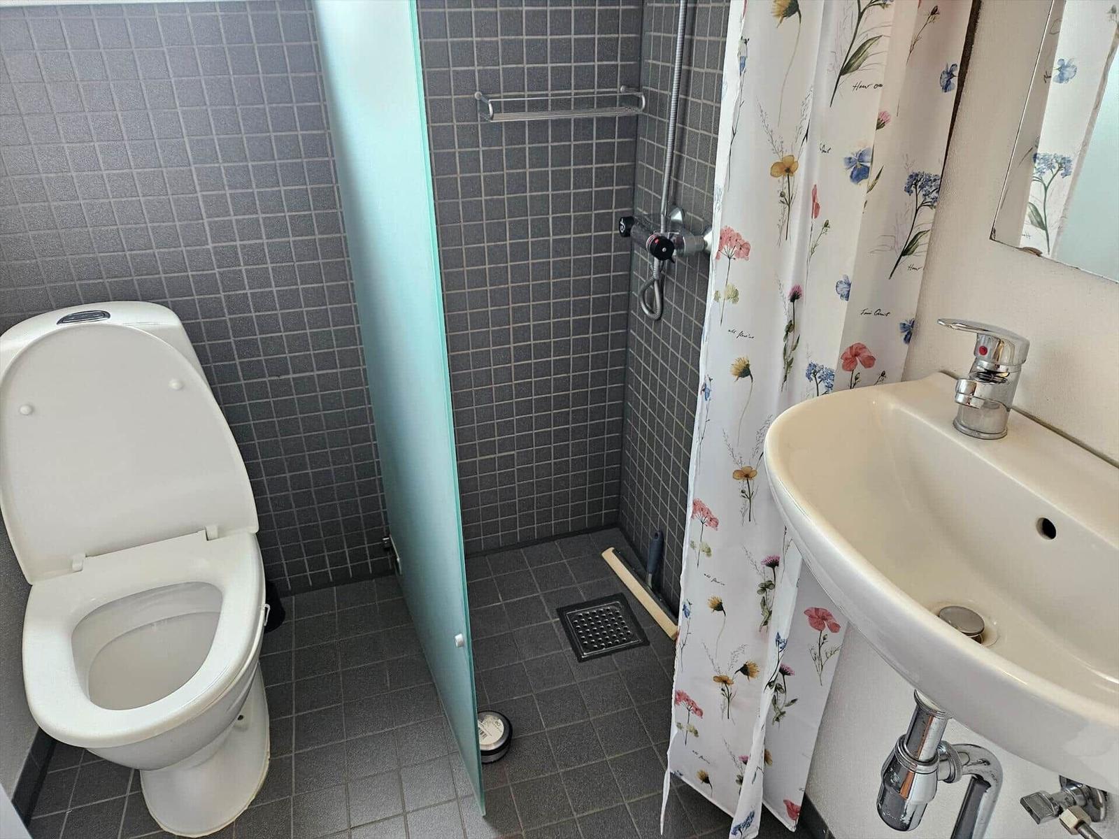 Badezimmer mit Toilette, Dusche und Waschbecken