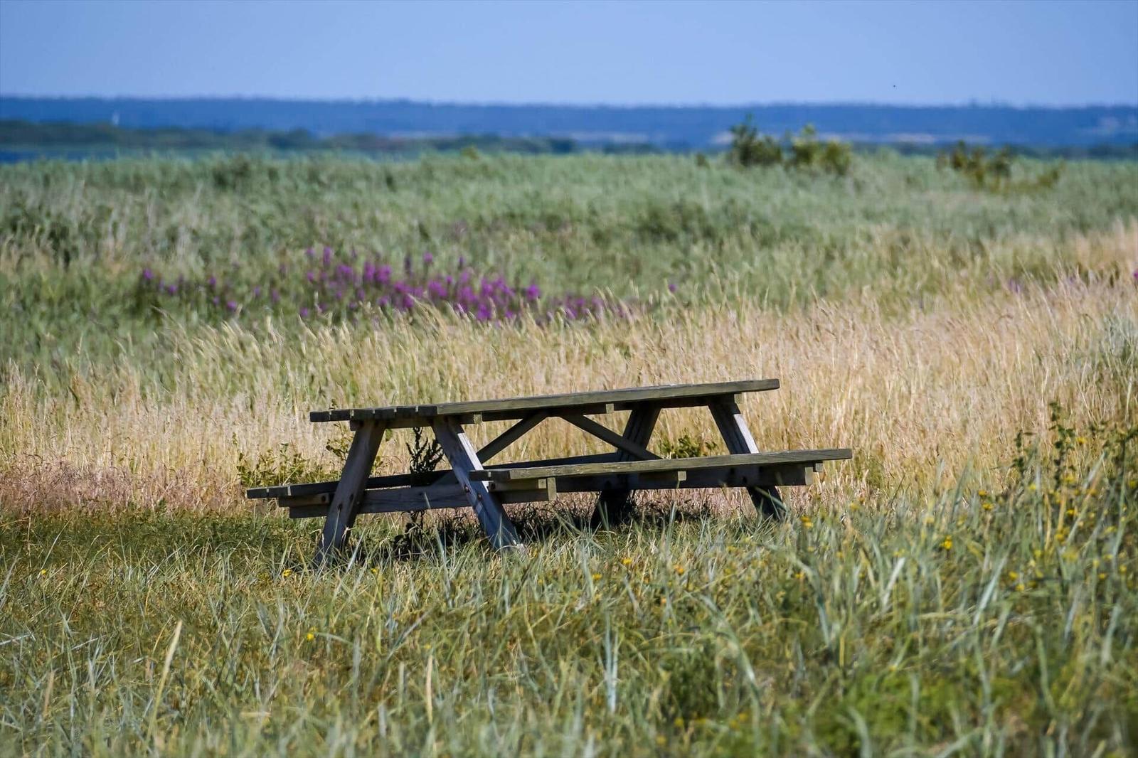 Holzpicknicktisch in Grasland mit blauem Himmel und wilden Blumen im Hintergrund.