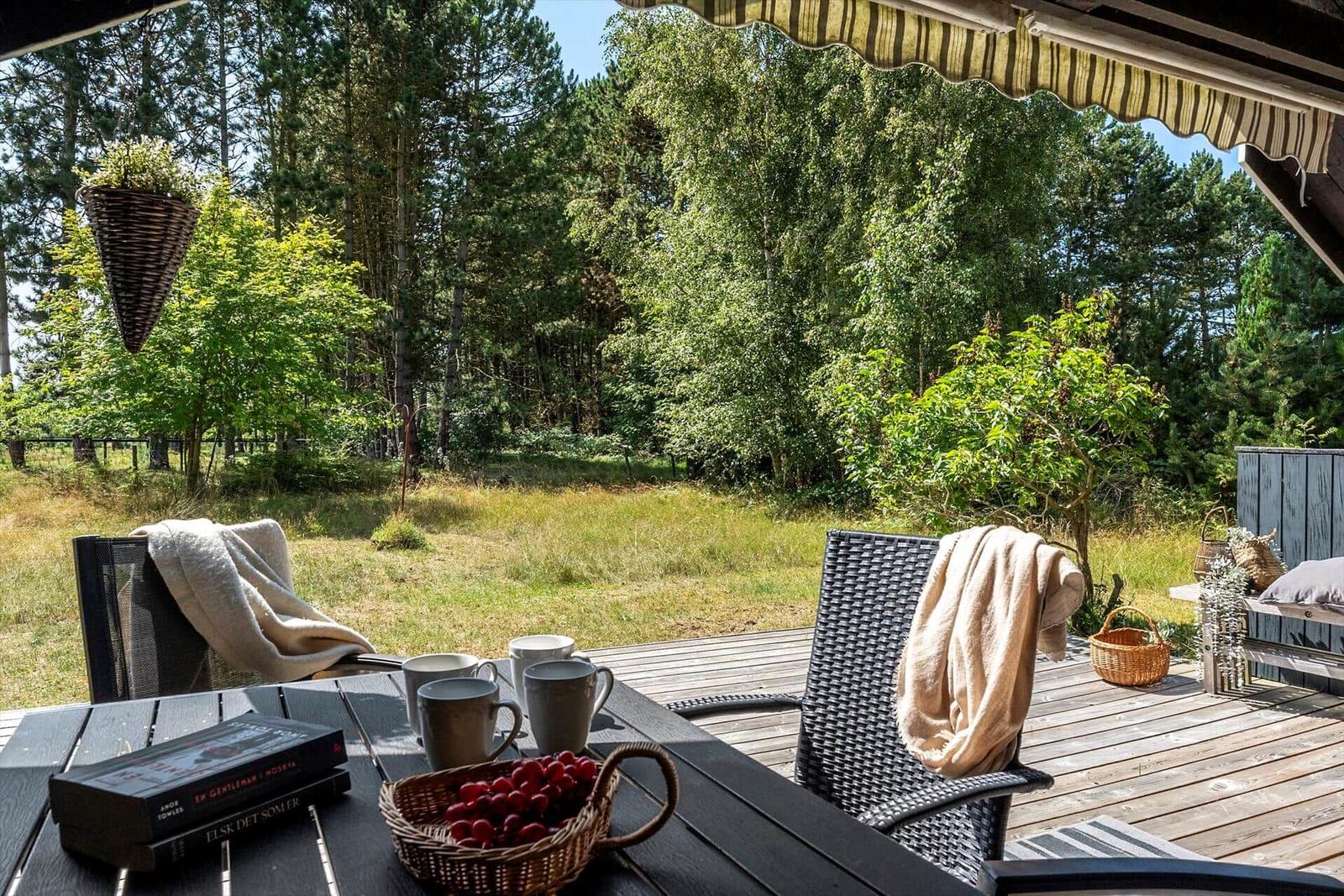 Terrasse mit Tisch, Stühlen und Blick auf Wald.