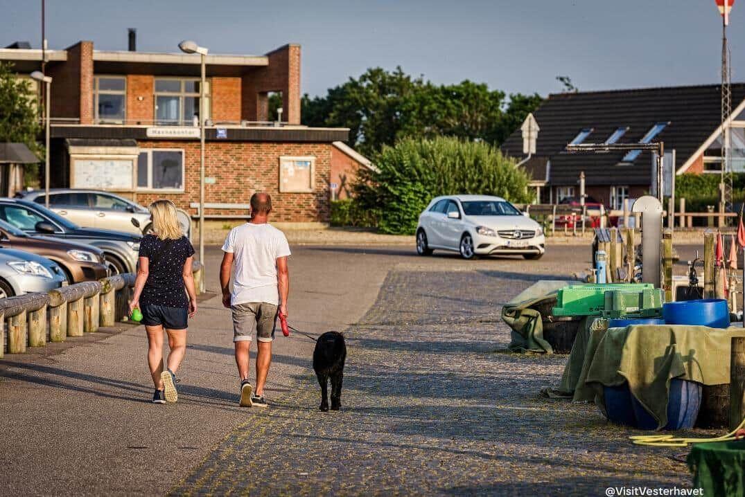 Ein Paar spaziert mit Hund durch eine Straße mit geparkten Autos und Häusern.