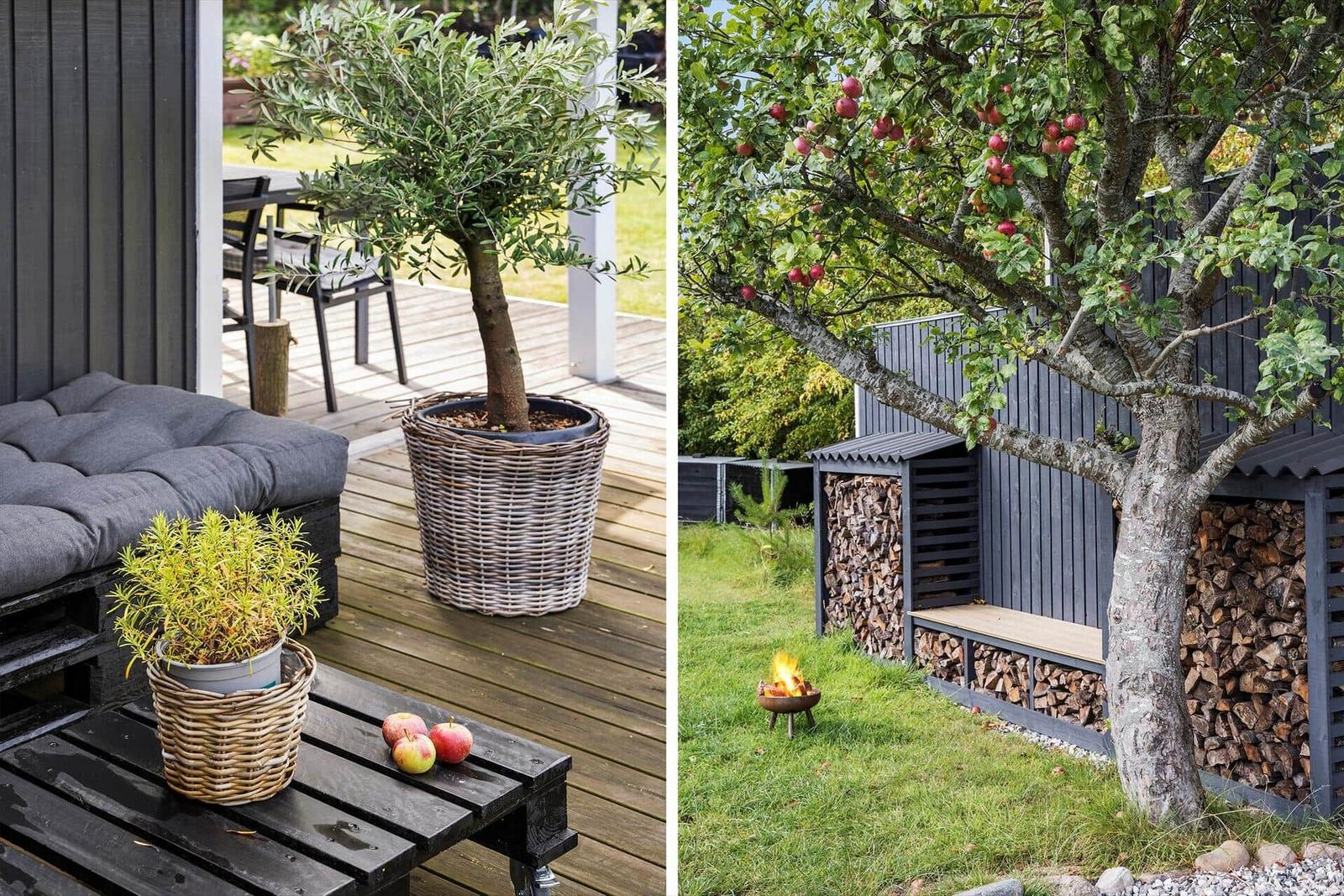 Deck with seating, plants, and apple tree. Fire pit and woodpile in the garden.